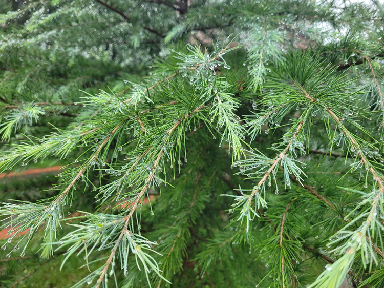 長(cháng)信科技產(chǎn)業(yè)園 長(cháng)信科技產(chǎn)業(yè)園