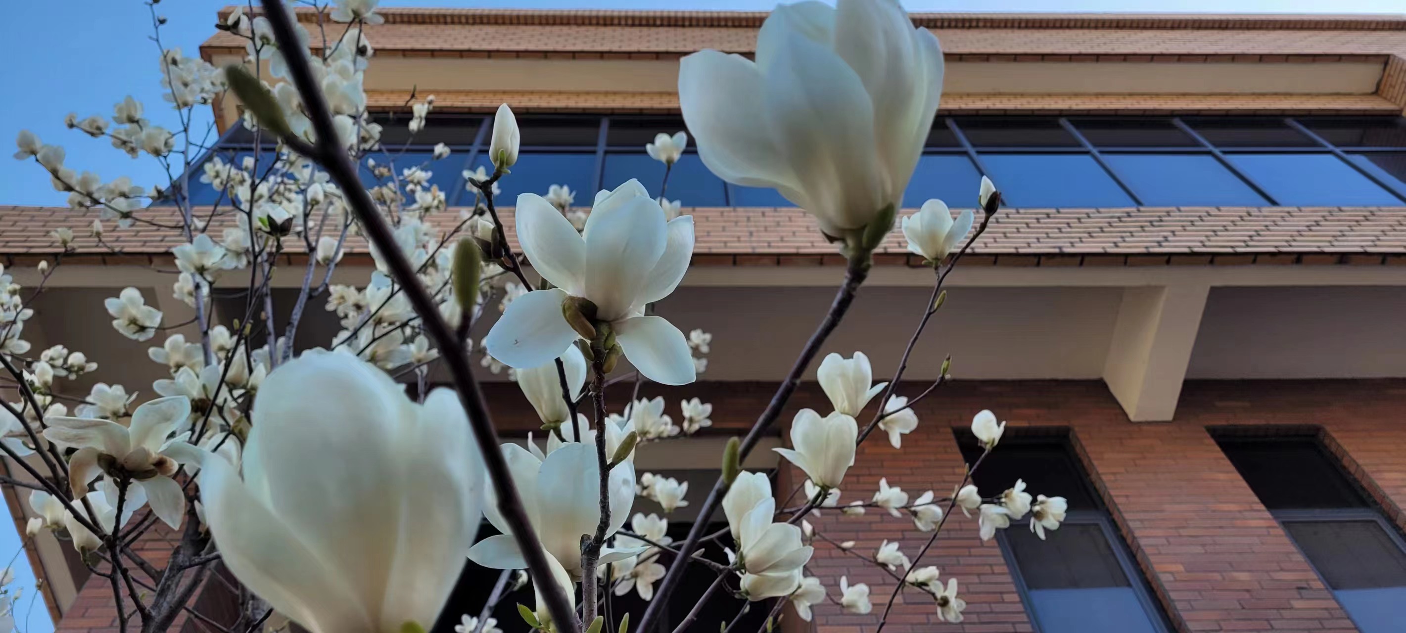 L(chng)ſƼa(chn)I(y)@