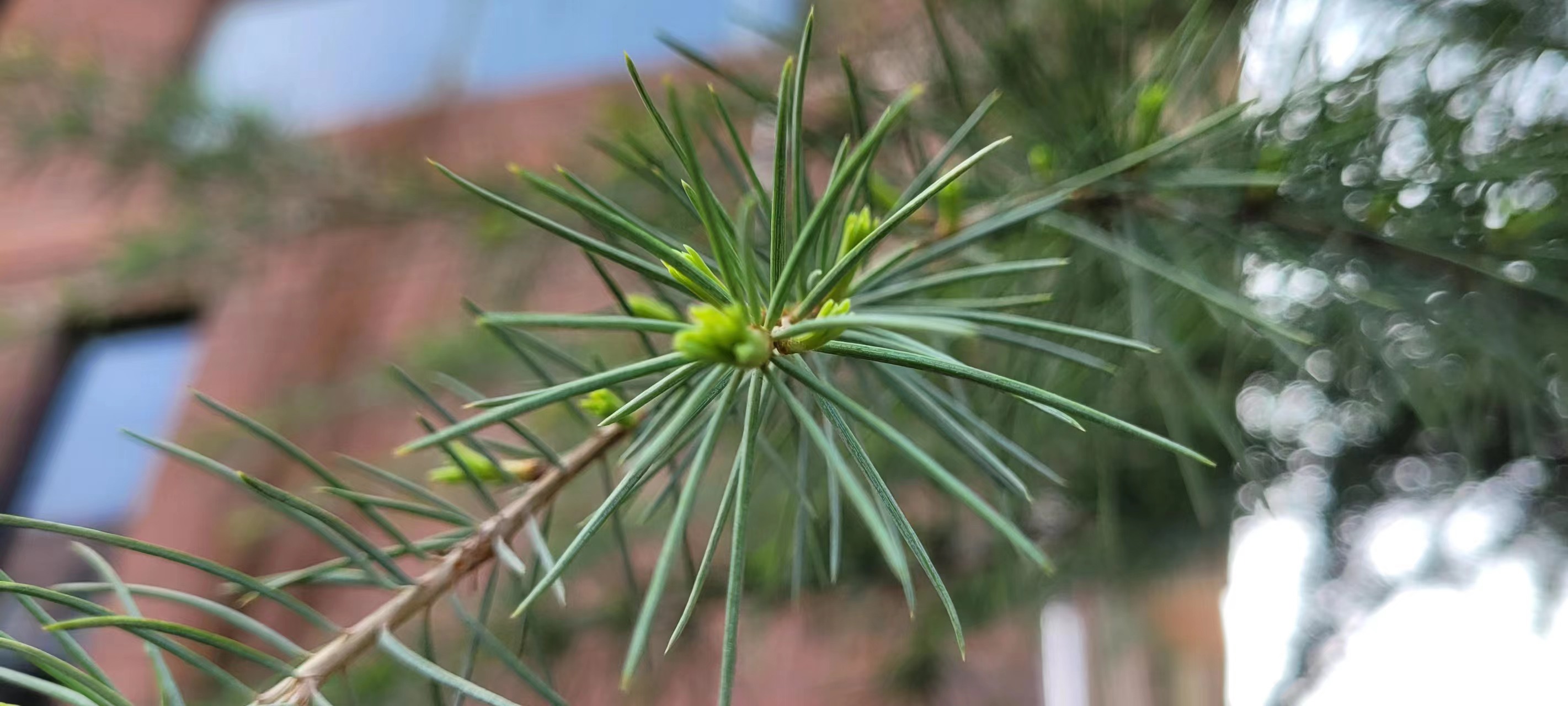 L(chng)ſƼa(chn)I(y)@