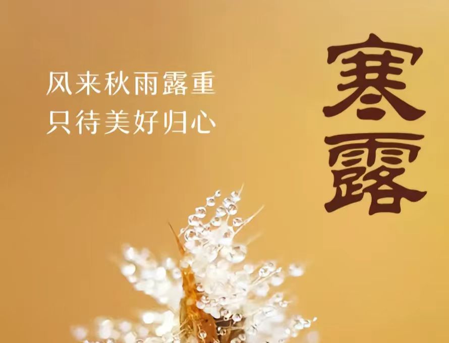 L(fng)(li)¶ֻÚw ❙ պ¶