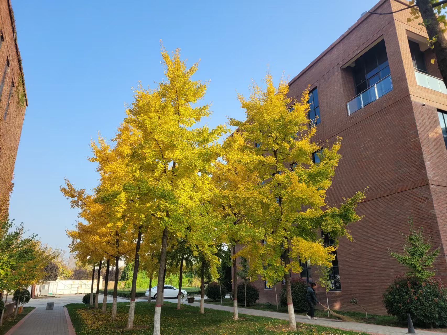 L(chng)ſƼa(chn)I(y)@y֮