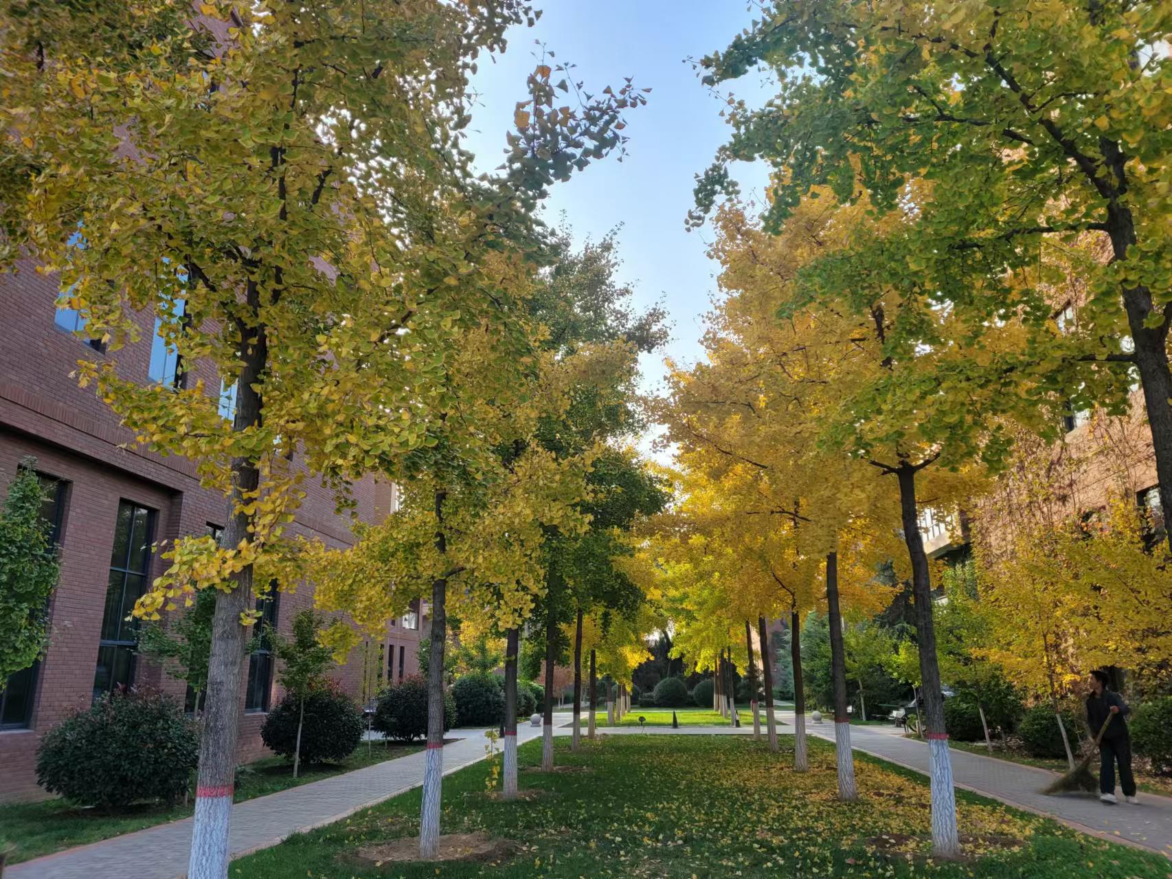 L(chng)ſƼa(chn)I(y)@