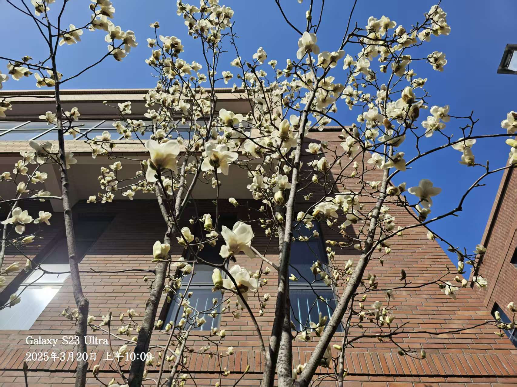 L(chng)ſƼa(chn)I(y)@