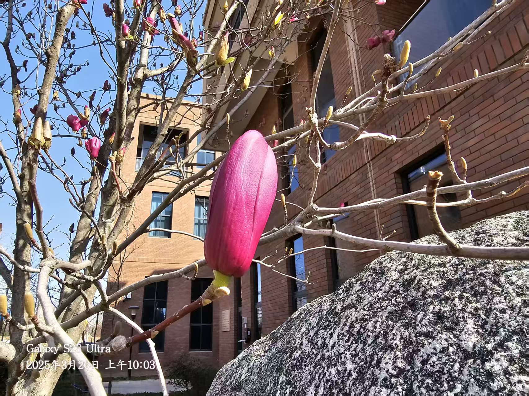 L(chng)ſƼa(chn)I(y)@