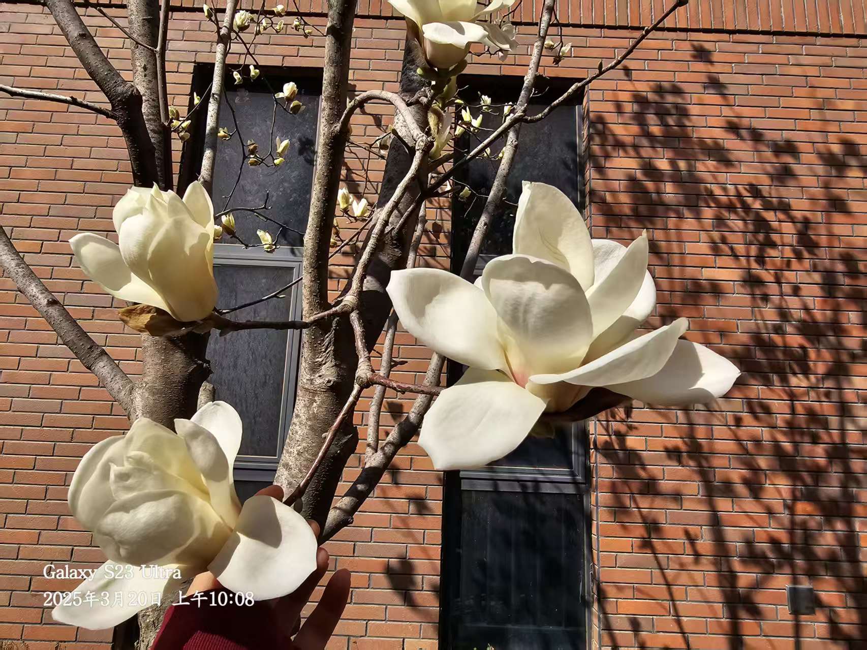 L(chng)ſƼa(chn)I(y)@